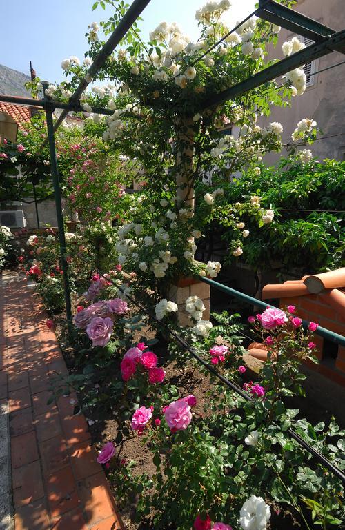 Apartman House Fascination Dubrovnik